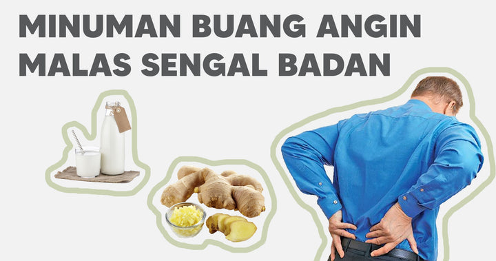 MINUMAN BUANG ANGIN MALAS SENGAL BADAN